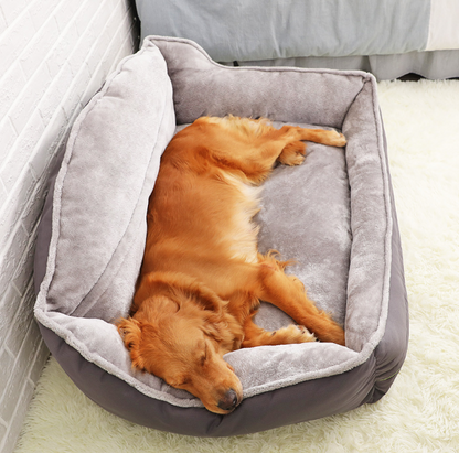 Pawtastic Adventures™ Dog Bed:
