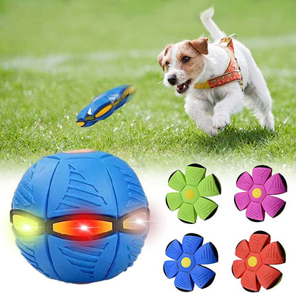 Pawtastic Adventures™ Dog Frisbee