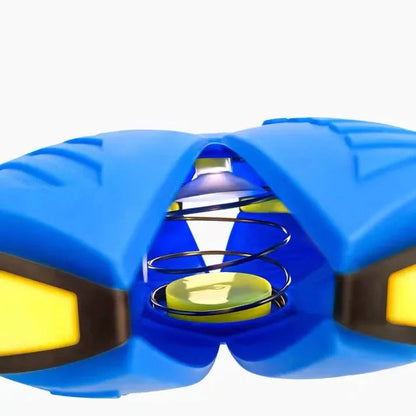 Pawtastic Adventures™ Dog Frisbee