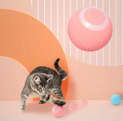 [Pawtastic Adventures] Interactive Ball