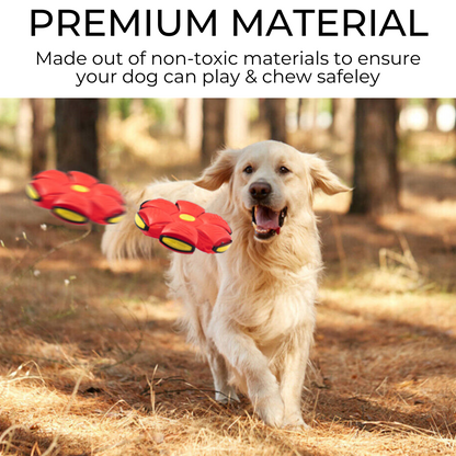 Pawtastic Adventures™ Dog Frisbee