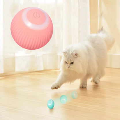 [Pawtastic Adventures] Interactive Ball