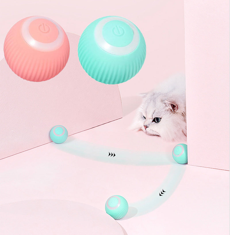 [Pawtastic Adventures] Interactive Ball